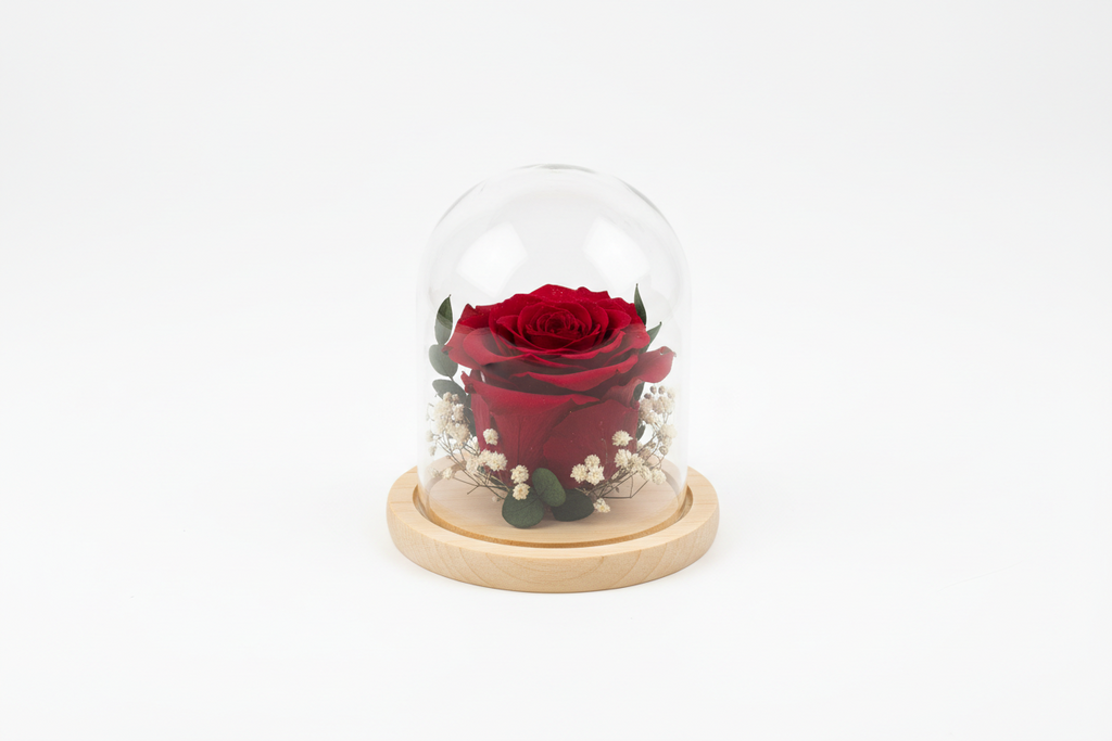 Single Preserved Rose Dome