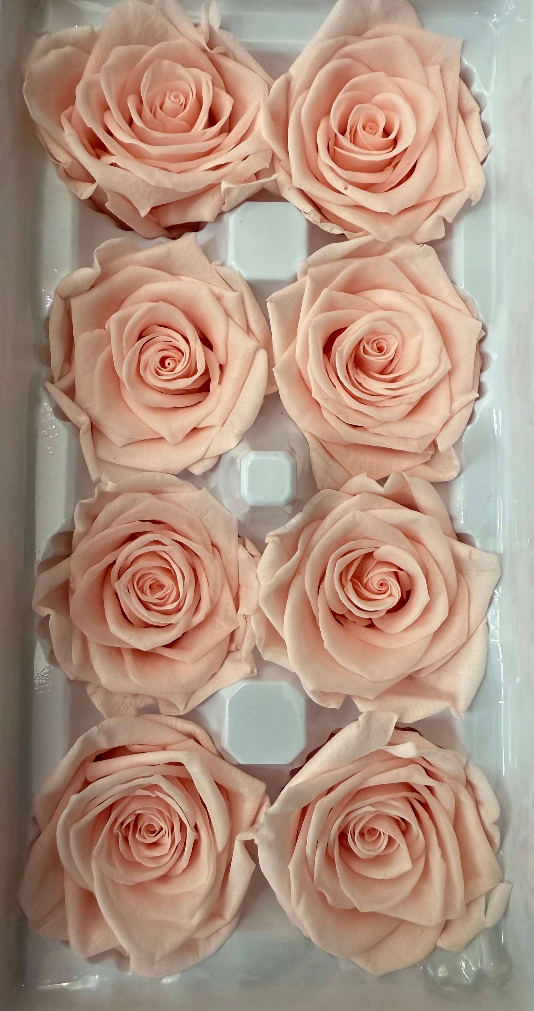 Luxe Preserved Rose Box