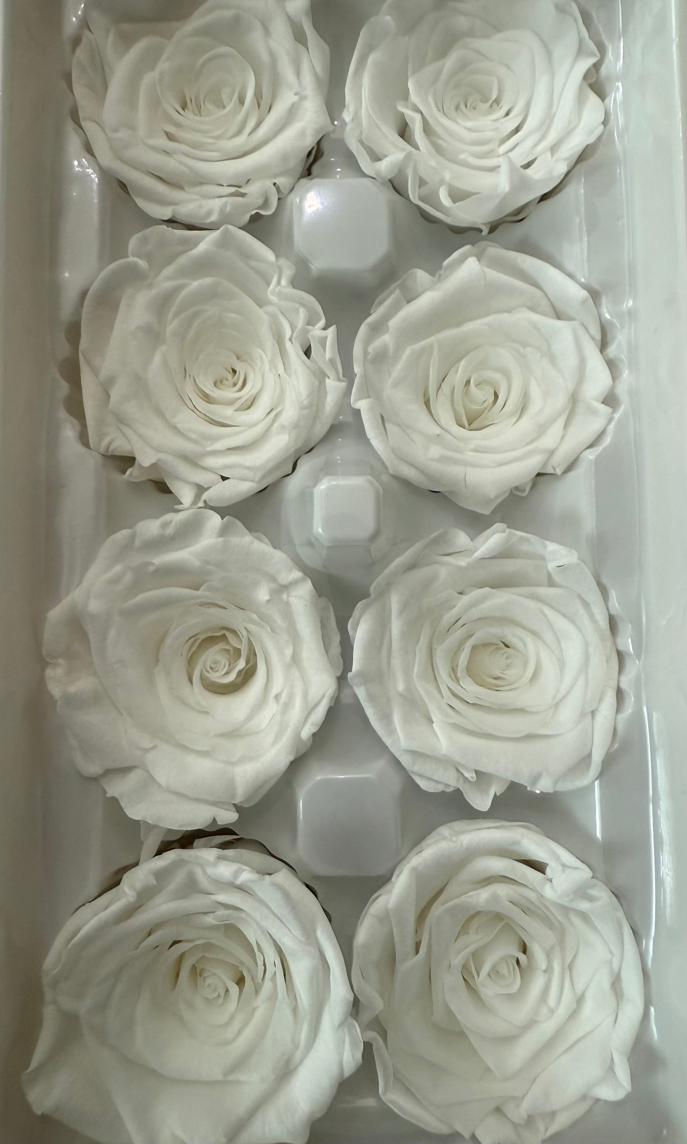Luxe Preserved Rose Box