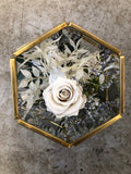 Preserved Botanical Terrarium