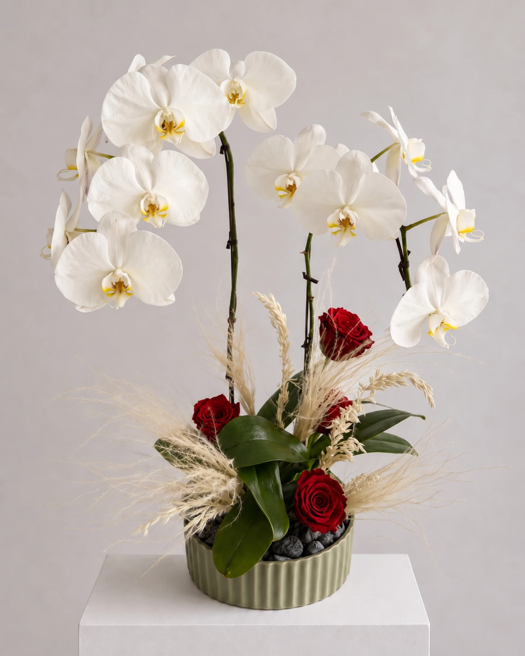 Orchid Living Gift Collection