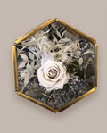 Preserved Botanical Terrarium
