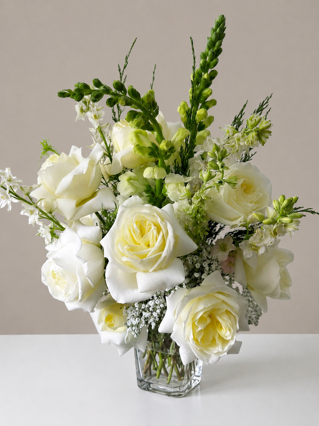Pure Moment – Signature Collection