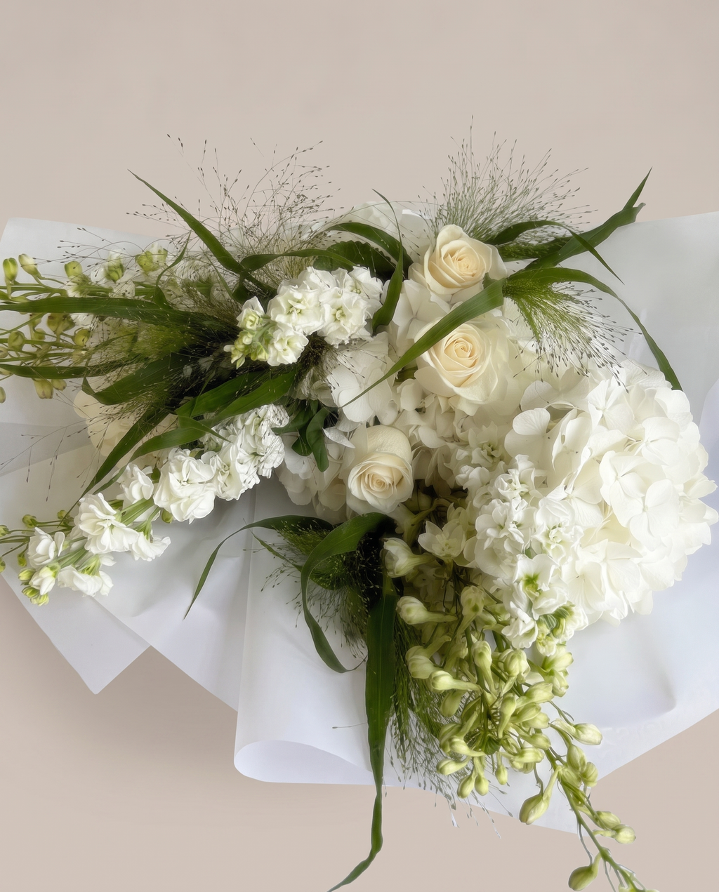 Pure Moment – Signature Collection