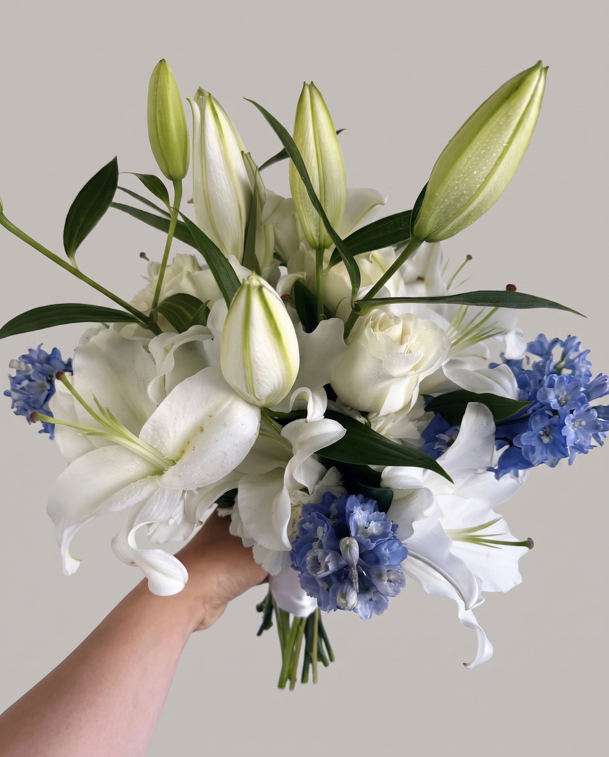 Pure Moment – Signature Collection