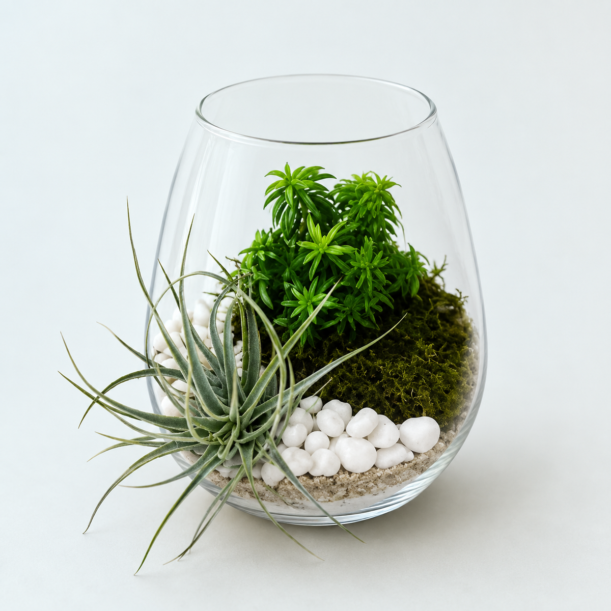Succulent Terrarium